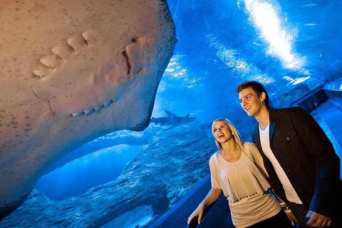 AQWA The Aquarium Of Western Australia: General Admission - Lightning Ridge Tourism 6