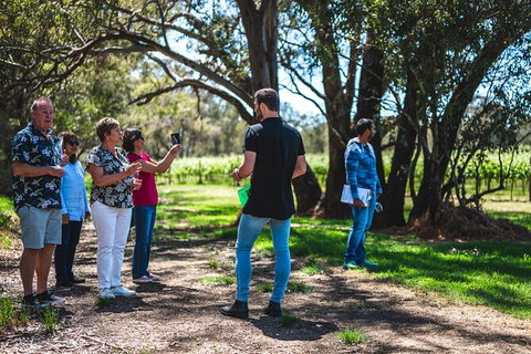 Upper Reach Winery: Swan Valley Winery And Vineyard Tour - Lightning Ridge Tourism 8