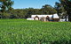 Upper Reach Winery: Swan Valley Winery And Vineyard Tour - thumb 2