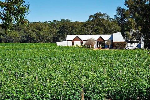 Upper Reach Winery: Swan Valley Winery And Vineyard Tour - Lightning Ridge Tourism 2