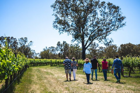 Upper Reach Winery: Swan Valley Winery And Vineyard Tour - Lightning Ridge Tourism 3