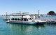 Full-Day Penguin Island & Mandurah Canal Cruise - thumb 4