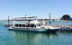 Full-Day Penguin Island & Mandurah Canal Cruise - thumb 6