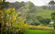 Half-Day Swan Valley & Wildlife Park Tour - thumb 0