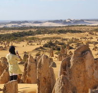 Full-Day Pinnacles Sandboarding and Yanchep National Park from Perth - Lightning Ridge Tourism