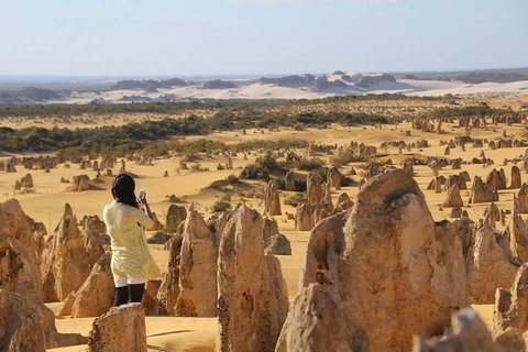 Full-Day Pinnacles Sandboarding And Yanchep National Park From Perth - Lightning Ridge Tourism 0