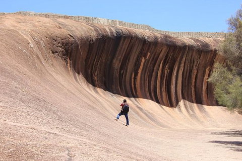 Wave Rock Half Day Air & Ground Tour - Lightning Ridge Tourism 0