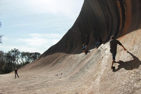 Wave Rock Half Day Air & Ground Tour - Lightning Ridge Tourism 1
