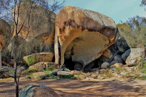 Wave Rock Half Day Air & Ground Tour - Lightning Ridge Tourism 4