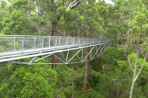 Albany Southwest Wilderness Day Tour - Fly From Perth - Lightning Ridge Tourism 2