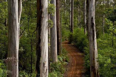 Albany Southwest Wilderness Day Tour - Fly From Perth - Lightning Ridge Tourism 6