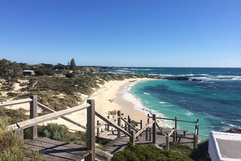 Wave Rock & Rottnest Island - Air & Ground Tour - Lightning Ridge Tourism 4