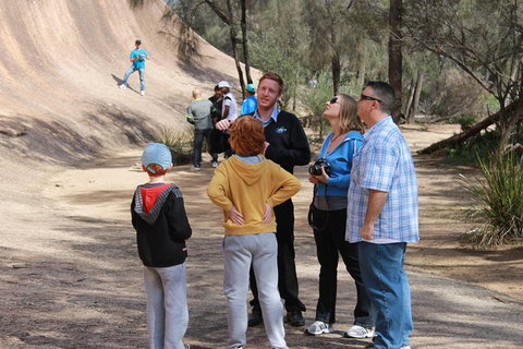 Wave Rock & Rottnest Island - Air & Ground Tour - Lightning Ridge Tourism 3