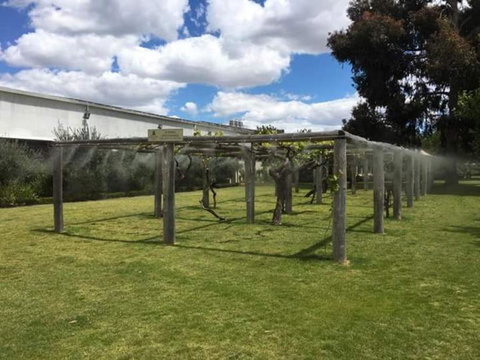 Swan Valley Gourmet Wine Cruise From Perth - Lightning Ridge Tourism 5
