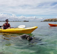 Seal Island and Penguin Island or Point Peron Sea Kayak Tour - Lightning Ridge Tourism