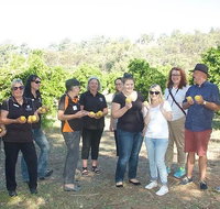 Chittering Valley Back To Nature Tour - Lightning Ridge Tourism
