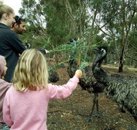 Full-Day Nature Tour from Perth - Lightning Ridge Tourism