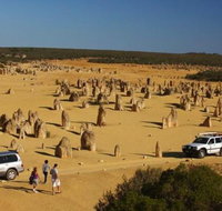 1-Day Pinnacles and Yanchep Tour from Perth including Fish and Chips Lunch - Lightning Ridge Tourism