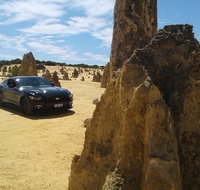 Pinnacles Mustang V8 Full Day including Swan Valley Caversham Wildlife Park - Lightning Ridge Tourism