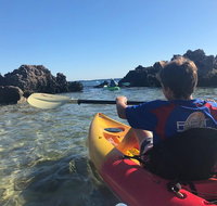 Penguin Island And Fremantle - Canoe Chocolate  Coffee - Lightning Ridge Tourism