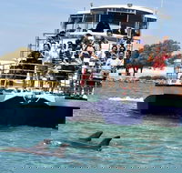 Mandurah Dolphin and Scenic Marine Cruise - Lightning Ridge Tourism