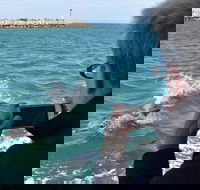 Mandurah Dolphin Island Adventure - Lightning Ridge Tourism