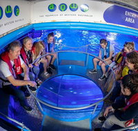 Glass Bottom Boat Adventure and AQWA General Entry Ticket - Lightning Ridge Tourism