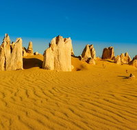 Pinnacles Desert Tour - Lightning Ridge Tourism