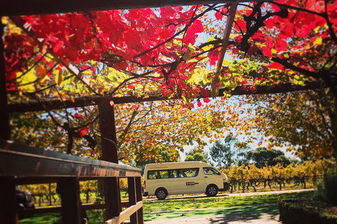 Ultimate Swan Valley Food And Wine Day Trip From Perth - Lightning Ridge Tourism 12