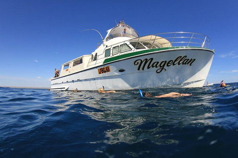 Ningaloo Reef Whale Shark Snorkeling Adventure Apr-July - Lightning Ridge Tourism 1