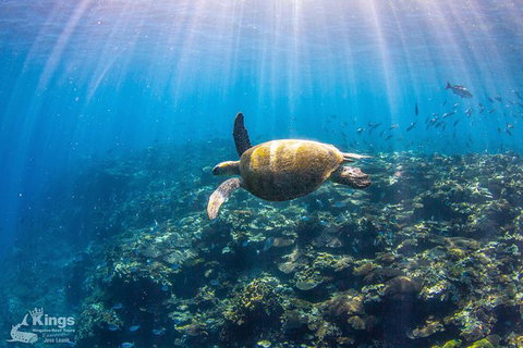 Ningaloo Reef Whale Shark Snorkeling Adventure Apr-July - Lightning Ridge Tourism 3