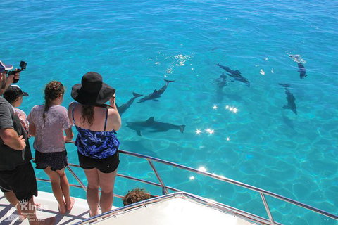 Ningaloo Reef Whale Shark Snorkeling Adventure Apr-July - Lightning Ridge Tourism 4