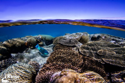 Ningaloo Reef Whale Shark Snorkeling Adventure Apr-July - Lightning Ridge Tourism 8