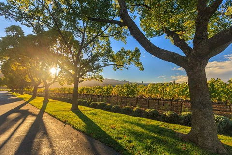 VIP Swan Valley Wine Tour - Premium Small Group Wine & Gourmet Experience - Lightning Ridge Tourism 1