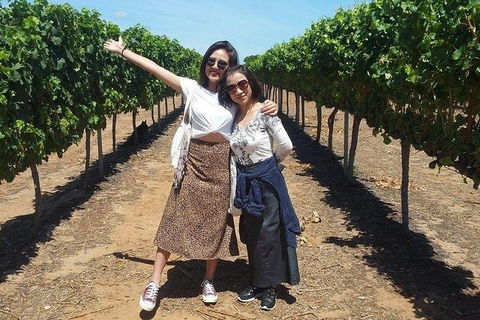VIP Swan Valley Wine Tour - Premium Small Group Wine & Gourmet Experience - Lightning Ridge Tourism 3