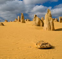 The Pinnacles Sea and Dunescapes Bush Reserve and Sunset Day Tour - Lightning Ridge Tourism