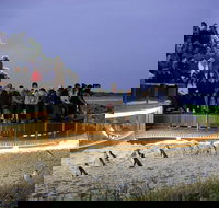 1 Day Private Phillip Island Tour VIP Charter up to 9 People - Lightning Ridge Tourism