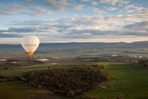Yarra Valley Balloon Flight And Winery Tour - Lightning Ridge Tourism 12
