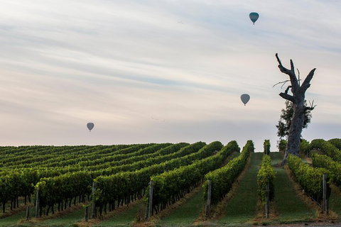 Yarra Valley Balloon Flight And Winery Tour - Lightning Ridge Tourism 19