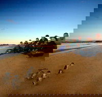 Phillip Island Ultimate Penguin Eco Tour or Skybox Experience - Lightning Ridge Tourism