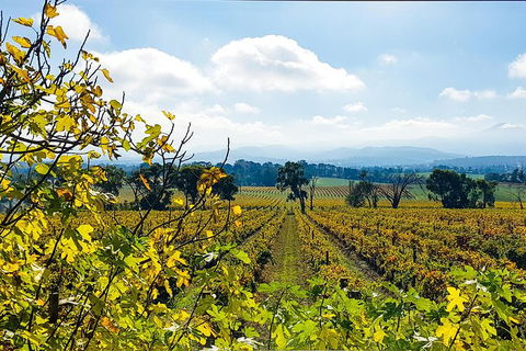 Alternative Yarra Valley Wine Tasting Tour Departing From Melbourne - Lightning Ridge Tourism 4