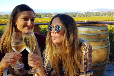 Alternative Yarra Valley Wine Tasting Tour Departing From Melbourne - Lightning Ridge Tourism 5