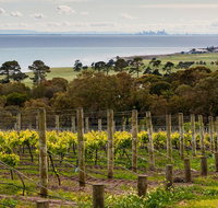 Bellarine Peninsula Small Group Wine Tour with 2 Course Lunch and Morning Tea - Lightning Ridge Tourism