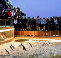 Small-Group Phillip Island Day Trip from Melbourne - Lightning Ridge Tourism