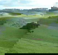 Day Tour of Phillip Island  Surrounding Region - Lightning Ridge Tourism