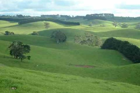 Day Tour Of Phillip Island & Surrounding Region - Lightning Ridge Tourism 0