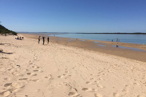 Day Tour Of Phillip Island & Surrounding Region - Lightning Ridge Tourism 8