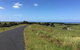 Day Tour Of Phillip Island & Surrounding Region - thumb 9