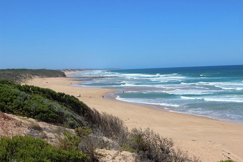 Day Tour Of Phillip Island & Surrounding Region - Lightning Ridge Tourism 1