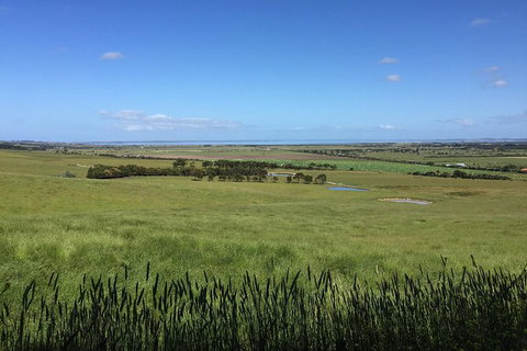 Day Tour Of Phillip Island & Surrounding Region - Lightning Ridge Tourism 4